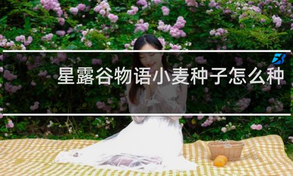 星露谷物语小麦种子怎么种