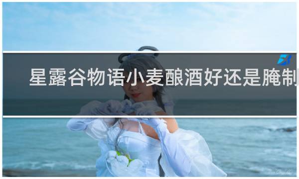 星露谷物语小麦酿酒好还是腌制好
