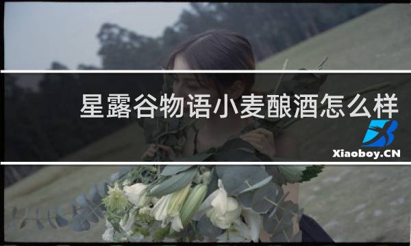 星露谷物语小麦酿酒怎么样