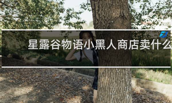 星露谷物语小黑人商店卖什么