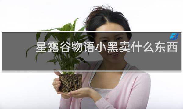 星露谷物语小黑卖什么东西