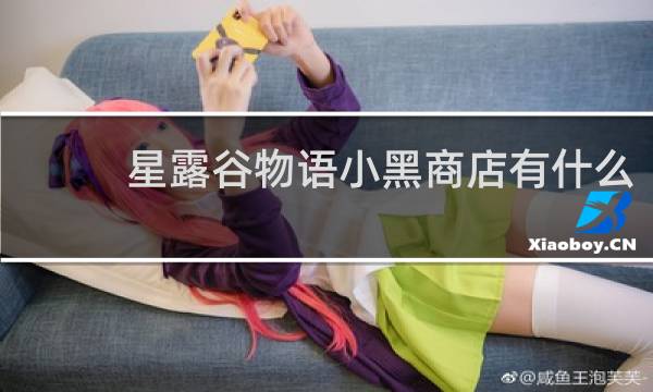 星露谷物语小黑商店有什么