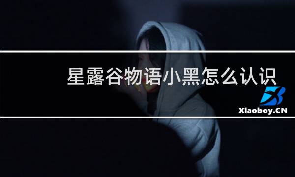 星露谷物语小黑怎么认识