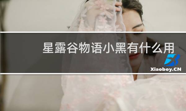 星露谷物语小黑有什么用
