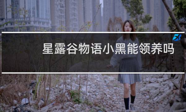 星露谷物语小黑能领养吗