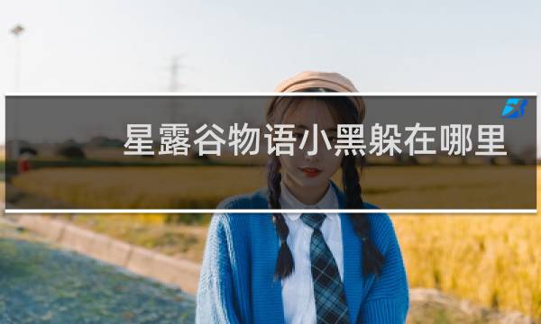 星露谷物语小黑躲在哪里