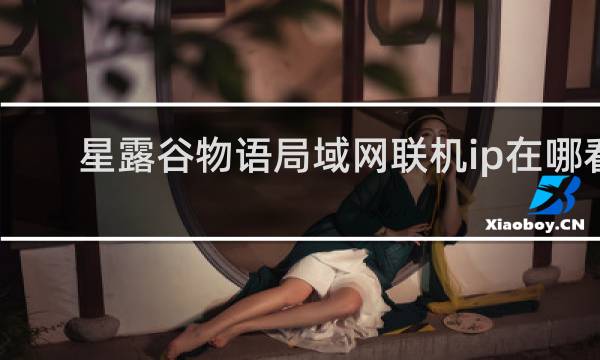 星露谷物语局域网联机ip在哪看