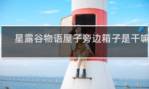 星露谷物语屋子旁边箱子是干嘛的