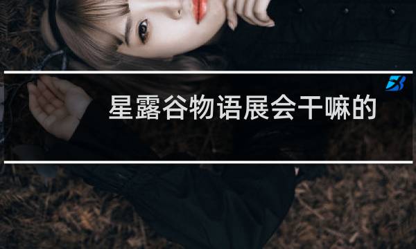 星露谷物语展会干嘛的