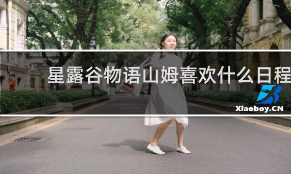 星露谷物语山姆喜欢什么日程