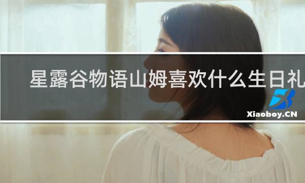 星露谷物语山姆喜欢什么生日礼物