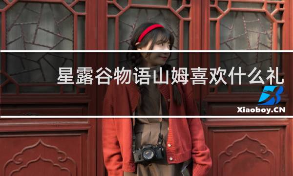 星露谷物语山姆喜欢什么礼
