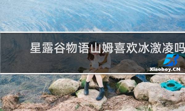星露谷物语山姆喜欢冰激凌吗
