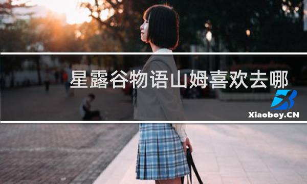 星露谷物语山姆喜欢去哪