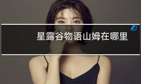 星露谷物语山姆在哪里