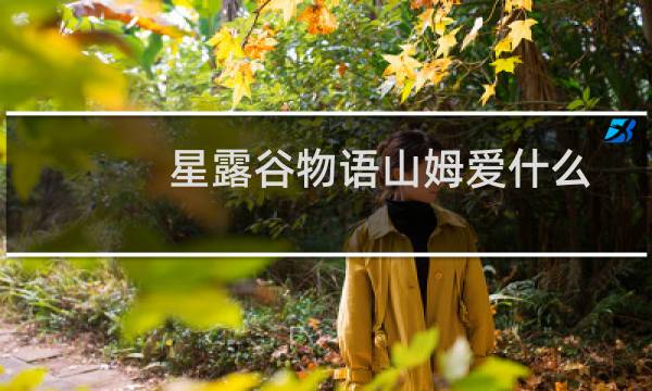 星露谷物语山姆爱什么