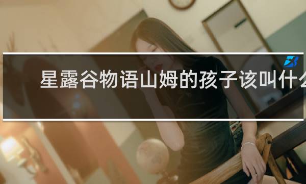 星露谷物语山姆的孩子该叫什么