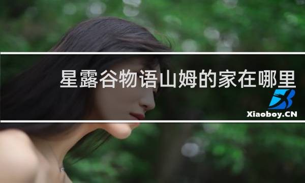 星露谷物语山姆的家在哪里