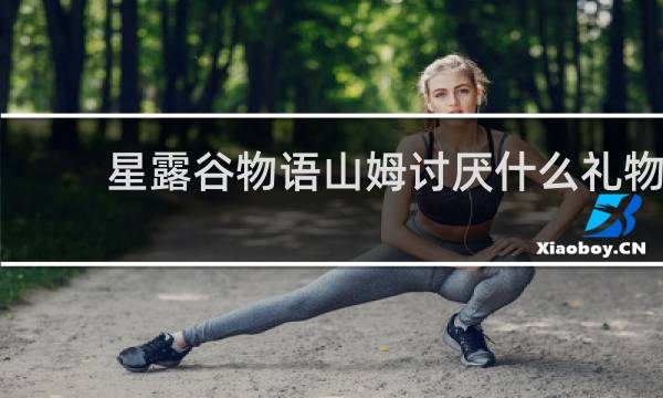 星露谷物语山姆讨厌什么礼物