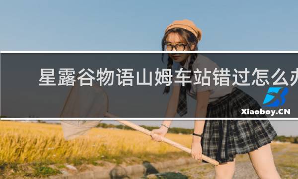 星露谷物语山姆车站错过怎么办