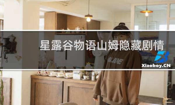 星露谷物语山姆隐藏剧情