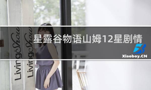 星露谷物语山姆12星剧情