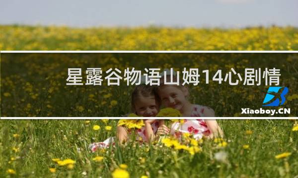 星露谷物语山姆14心剧情