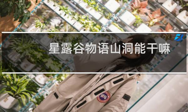 星露谷物语山洞能干嘛