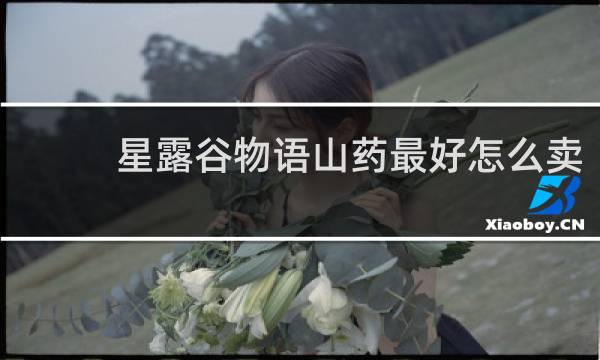 星露谷物语山药最好怎么卖