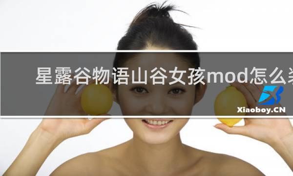 星露谷物语山谷女孩mod怎么装