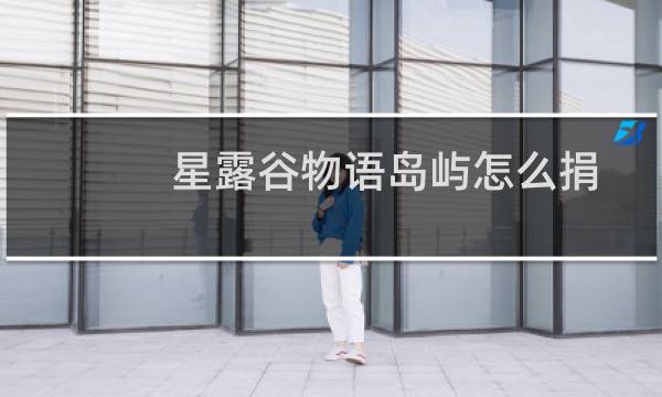 星露谷物语岛屿怎么捐
