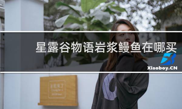 星露谷物语岩浆鳗鱼在哪买