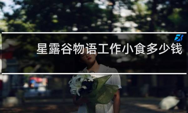 星露谷物语工作小食多少钱