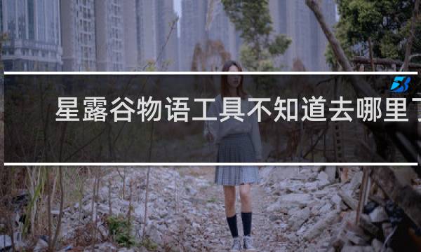 星露谷物语工具不知道去哪里了