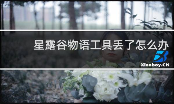 星露谷物语工具丢了怎么办