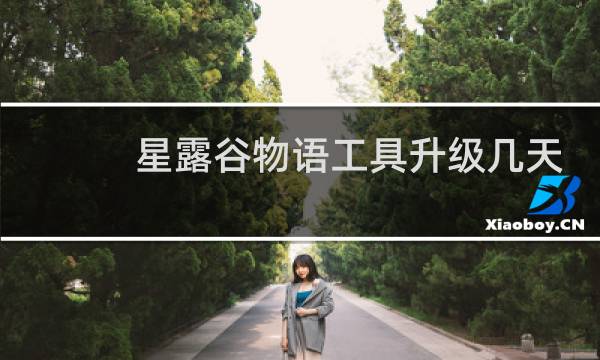 星露谷物语工具升级几天