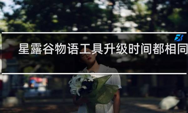 星露谷物语工具升级时间都相同吗