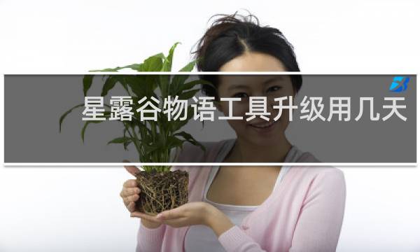 星露谷物语工具升级用几天