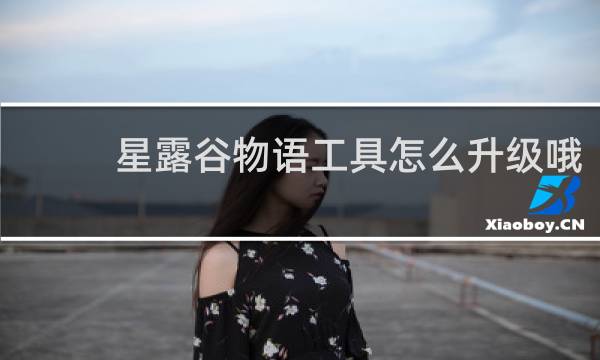 星露谷物语工具怎么升级哦