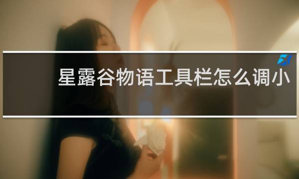 星露谷物语工具栏怎么调小