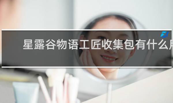 星露谷物语工匠收集包有什么用