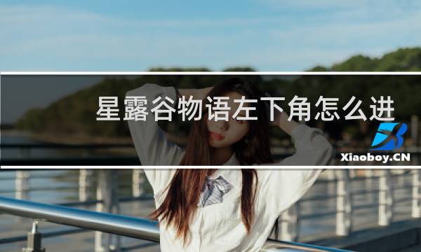 星露谷物语左下角怎么进