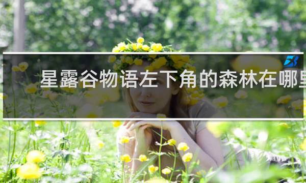 星露谷物语左下角的森林在哪里