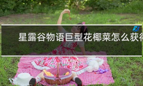 星露谷物语巨型花椰菜怎么获得
