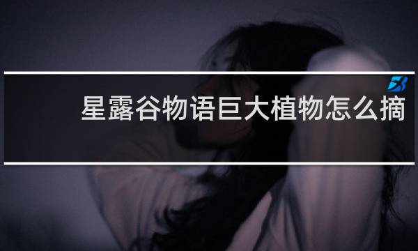 星露谷物语巨大植物怎么摘