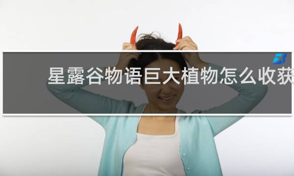 星露谷物语巨大植物怎么收获
