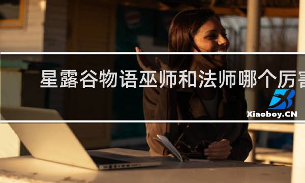 星露谷物语巫师和法师哪个厉害