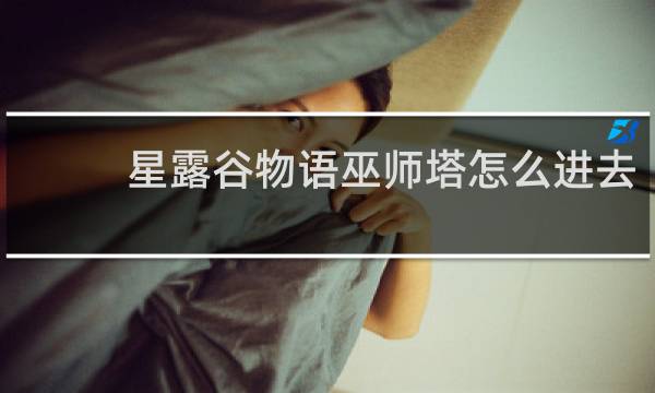 星露谷物语巫师塔怎么进去