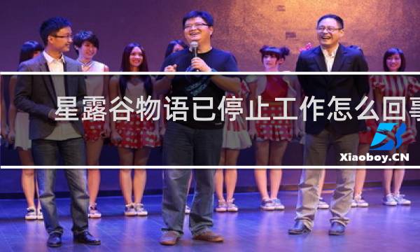 星露谷物语已停止工作怎么回事