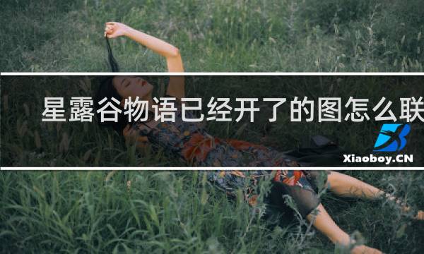 星露谷物语已经开了的图怎么联机